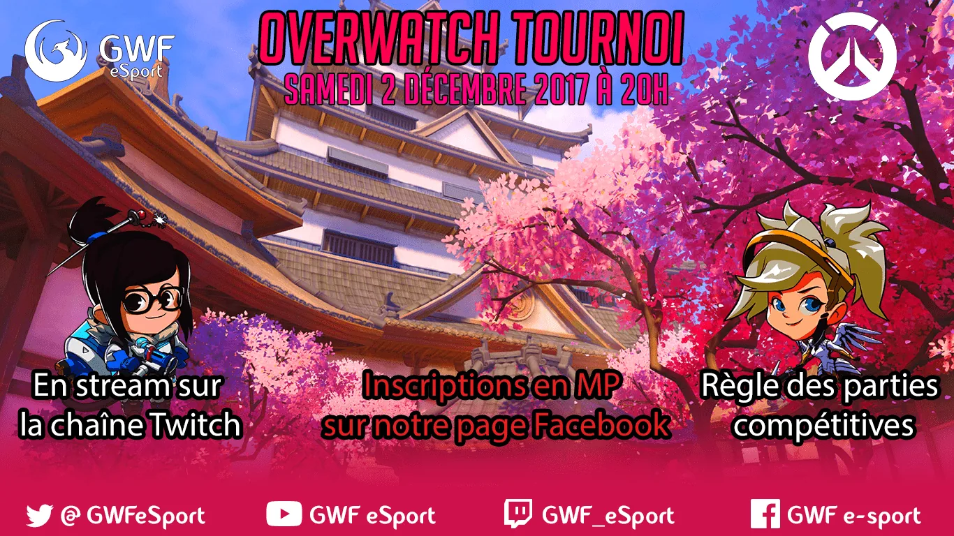 Tournoi Overwatch